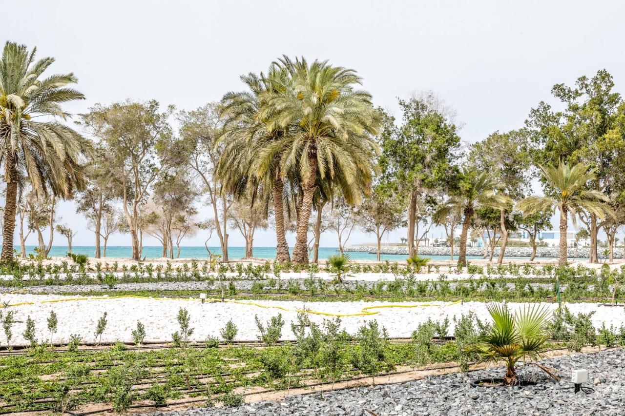 ג'בל דהנה Dhafra Beach Hotel מראה חיצוני תמונה